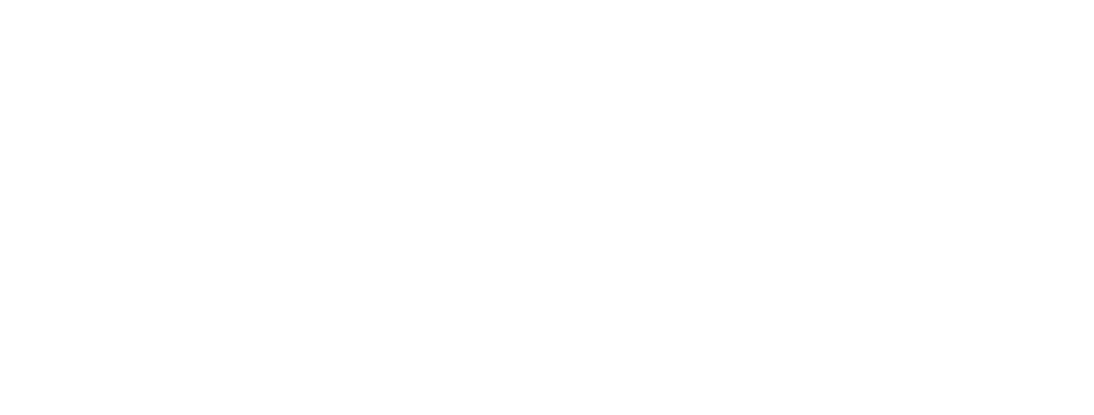 logo LekSeek